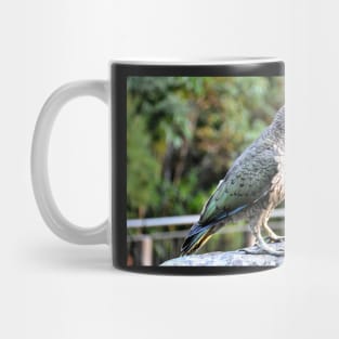 Nouvelle Zélande -  Milford Sound, perroquet kea Mug